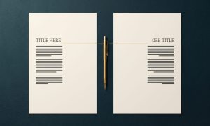 29_Bilingual CV Preparation